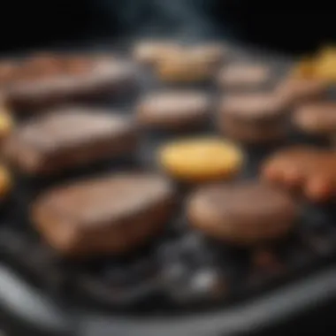 Diverse Grill Styles Variety of grills showcasing different styles and types