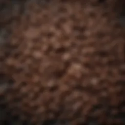 Selection of premium coffee beans