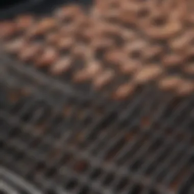 Comparative Analysis of Grill Cleaning Products A comparison chart of popular BBQ grill cleaners for informed choices.