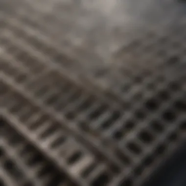 Diverse Cleaning Solutions for BBQ Grates An array of BBQ grill grate cleaners highlighting product diversity.