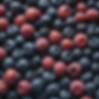 Diverse Colors and Sizes of Blueberries A vibrant assortment of fresh blueberries showcasing their diverse colors and sizes.