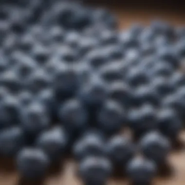 An infographic illustrating the nutritional benefits of various blueberry types.