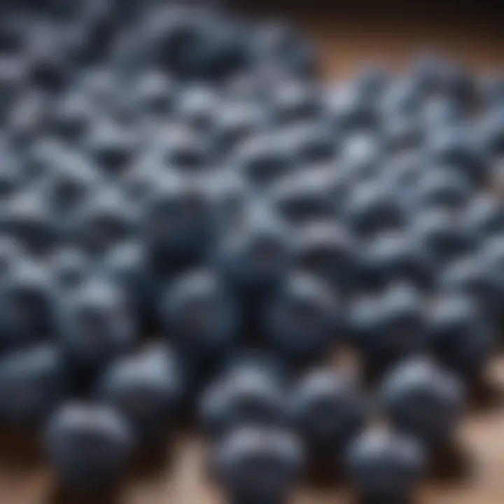 An infographic illustrating the nutritional benefits of various blueberry types.