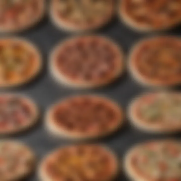 A comparison of different pizza stones made from various materials, highlighting their distinct characteristics.