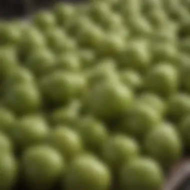 Fresh tomatillos displayed at a local market