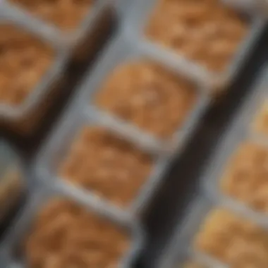 Close-up of a cereal plastic container with a clear lid showing contents