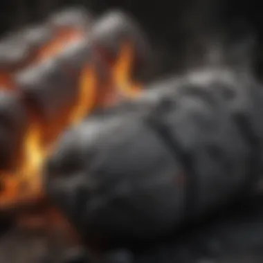 Charcoal vs Propane: Key Differences Explained Comparison chart of charcoal and propane benefits