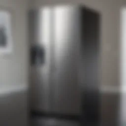 Sparkling stainless steel refrigerator surface after cleaning