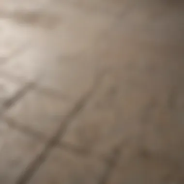 Close-up view of dirty floor grout with stains