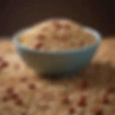 Close-up of a bowl filled with nutritious grains and legumes