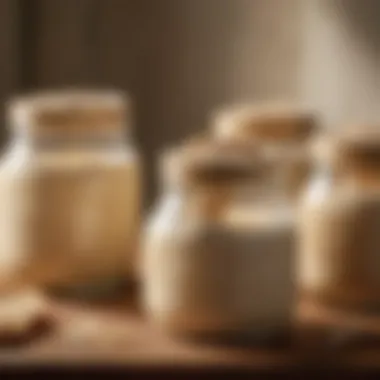Different stages of sourdough starter development displayed in jars.