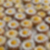 An artfully arranged selection of Daisy Cakes showcasing variety and creativity.