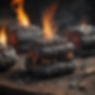 Environmental-friendly charcoal starter options displayed