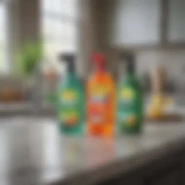 Collection of eco-friendly cleaning products placed on a countertop