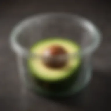 A container with a cut avocado sealed tightly to preserve freshness.