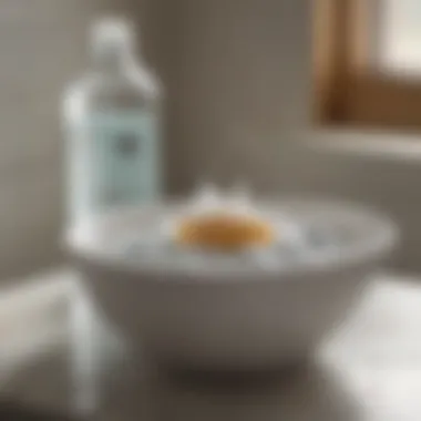 Natural Cleaning Solution with Baking Soda Baking soda and vinegar cleaning solution in a bowl