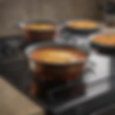 Maintaining Your Electric Smooth Top Stove Maintenance tips illustrated on a well-maintained electric smooth top stove