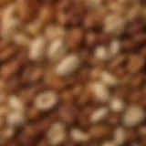 Diverse selection of nuts showcasing various types and textures