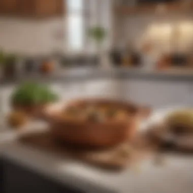 Cazuela in a Modern Kitchen Cazuela pot in a modern kitchen setting.