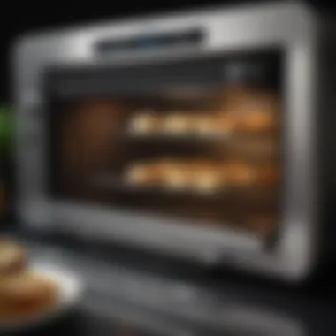 A well-prepared dish cooked in a convection toaster oven, showcasing even heating