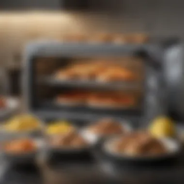 An assortment of delicious recipes that can be made using a convection toaster oven