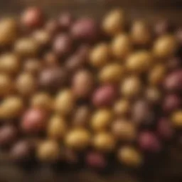 An assortment of colorful potato varieties on a rustic wooden table.