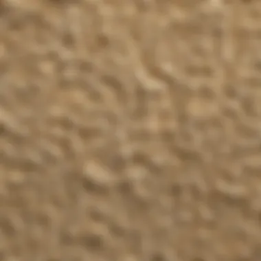 A close-up view of gluten-free flour texture and grains