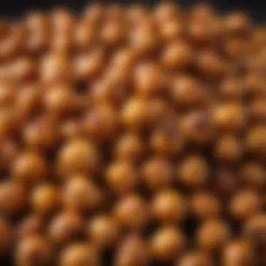 A close-up of roasted chickpeas seasoned with spices.