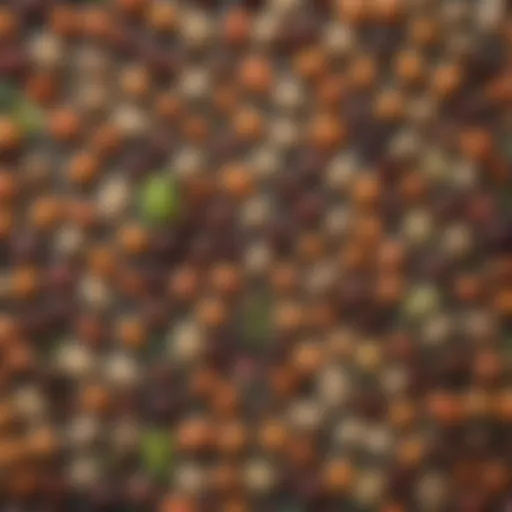 A vibrant spread of assorted legumes