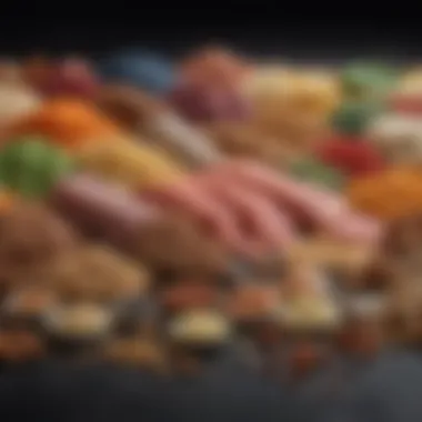 Colorful assortment of lean protein sources