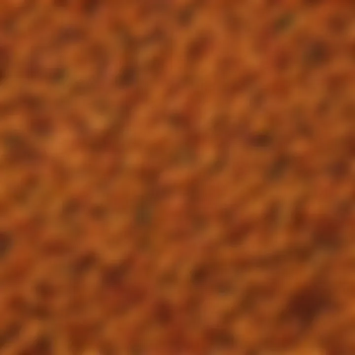 A vibrant array of pasta sauces showcasing various colors and textures