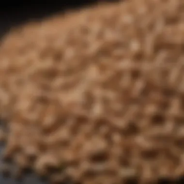 Close-up of wood pellets used in a smoker