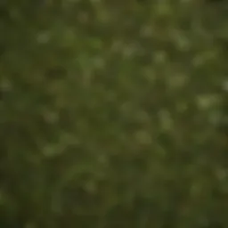 Diverse green tea cultivars showcasing vibrant leaves