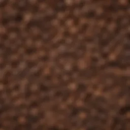 Diverse selection of coffee beans showcasing various roast levels.