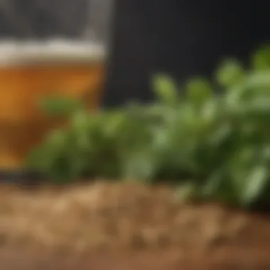 Key Ingredients in Irish Beer Brewing A detailed view of barley and hops used in brewing, emphasizing the ingredients that define Irish beer.