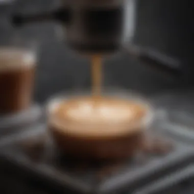 Close-up view of coffee brewing in a double walled press highlighting its functionality