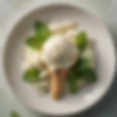 A scoop of vegan ice cream placed on a vibrant plate with mint leaves