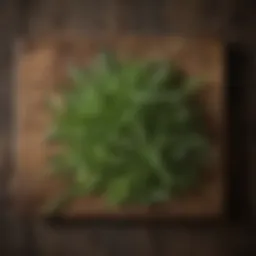 Fresh tarragon leaves on a rustic wooden surface