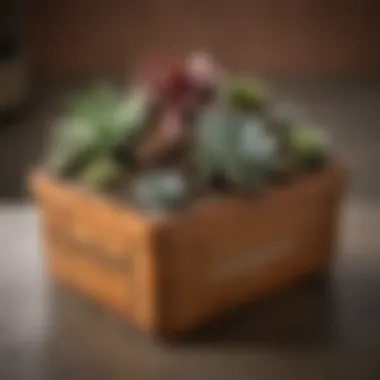 Repurposed Container as a Unique Succulent Planter Creative repurposed container used as a succulent planter
