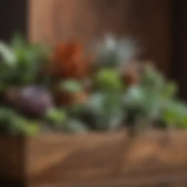 Rustic Wooden Planter Displaying Succulents A rustic wooden planter filled with diverse succulent species