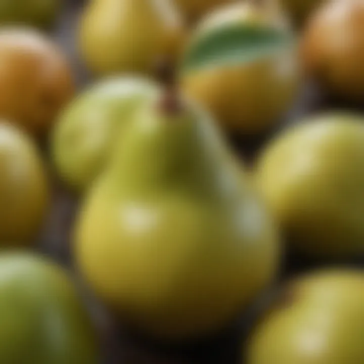 Close-up of a ripe Bartlett pear, highlighting its smooth skin and rich color.