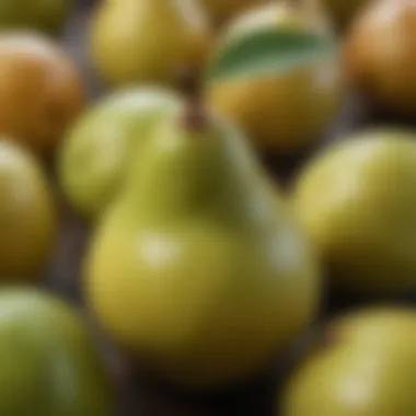 Bartlett Pear Close-up of a ripe Bartlett pear, highlighting its smooth skin and rich color.