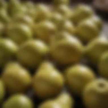 Storing Pears Effectively An infographic featuring tips on storing pears for optimal freshness and flavor.