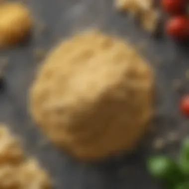 Key Ingredients in Vegan Parmesan Cheese Close-up of vegan parmesan cheese ingredients