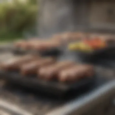 Finding Affordable BBQ Grills: A Comprehensive Guide Summary Finding Affordable BBQ Grills: A Comprehensive Guide Summary