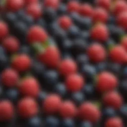 Fresh berries rich in antioxidants