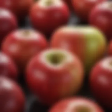 A close-up of an apple, symbolizing fiber-rich fruit choices