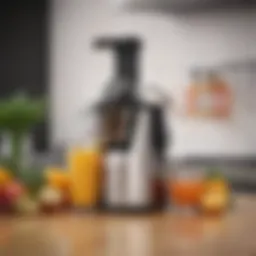 Dynamic fusion juicer showcasing its sleek design and modern finish