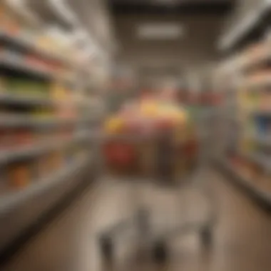 Streamlined Online Checkout An organized grocery cart on a website checkout page
