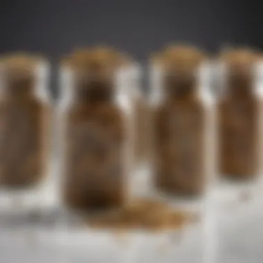 An array of dried herbs in small jars, ready to be added to popcorn.